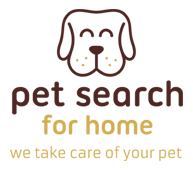 Pet searching for home