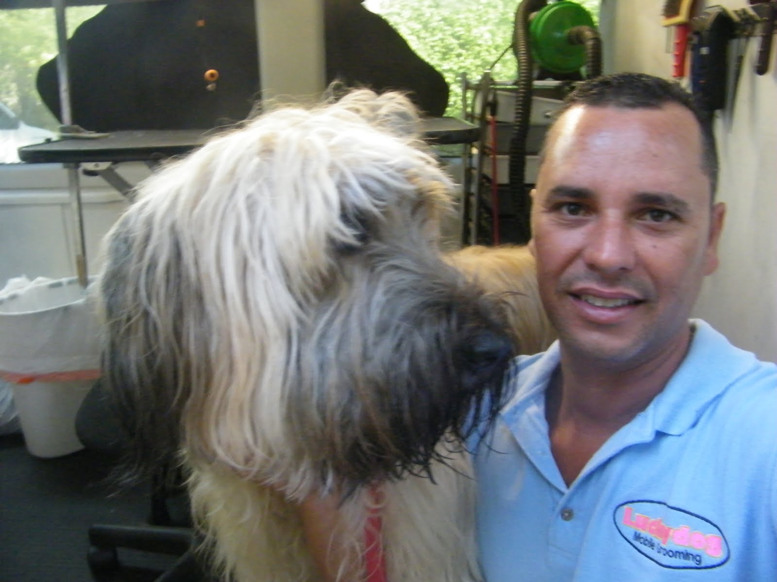 Mobile Dog Grooming Dog shedding is a natural process in canines