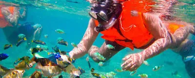 Snorkeling tour Gili Nanggu