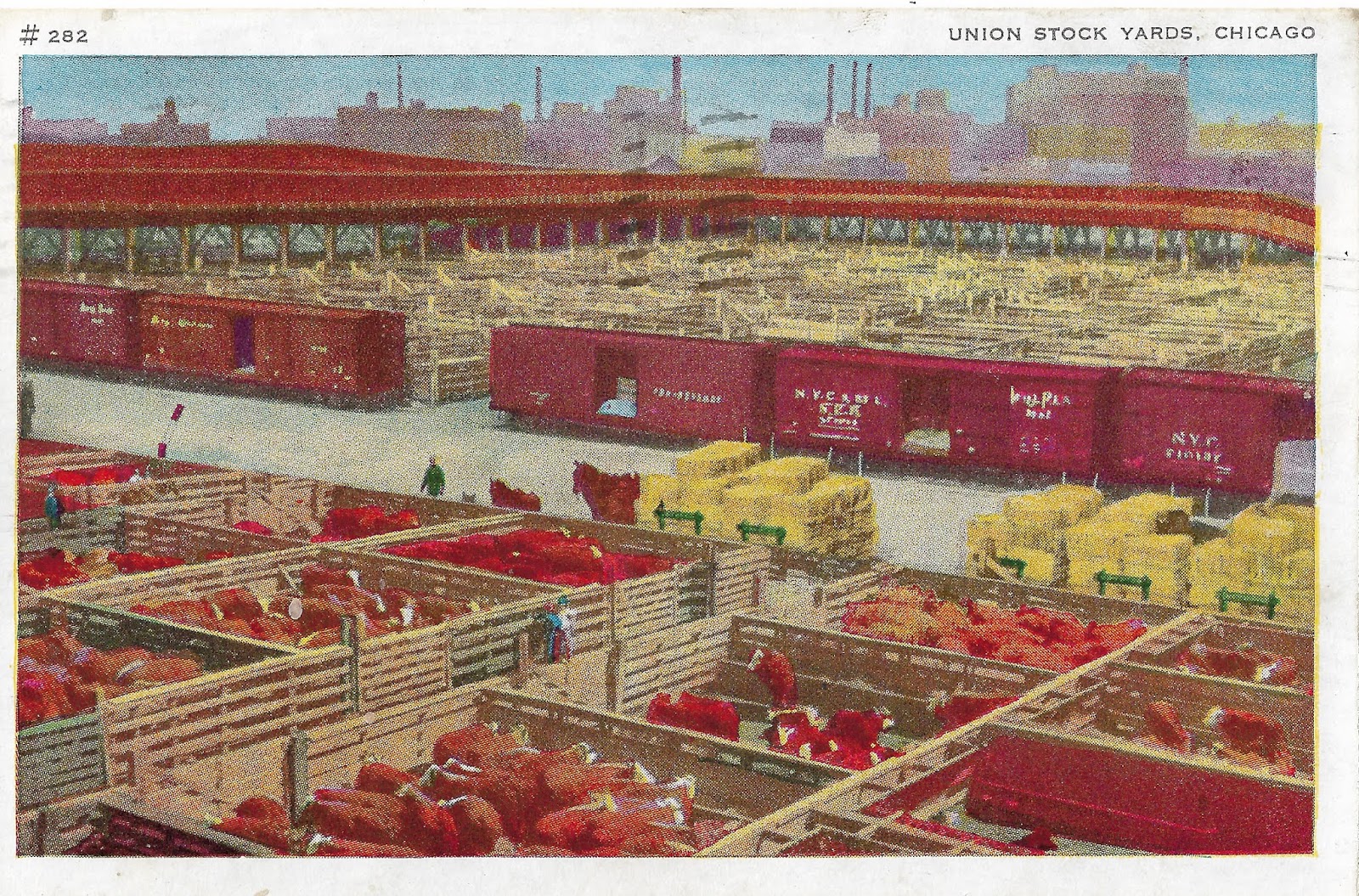Moo & Oink, The Union Stock Yards of Chicago