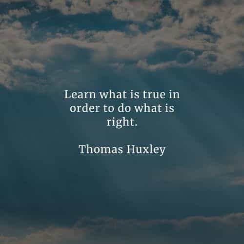 47 Truth Quotes About Life That Ll Make You Act With Honesty 47 truth quotes about life that ll make