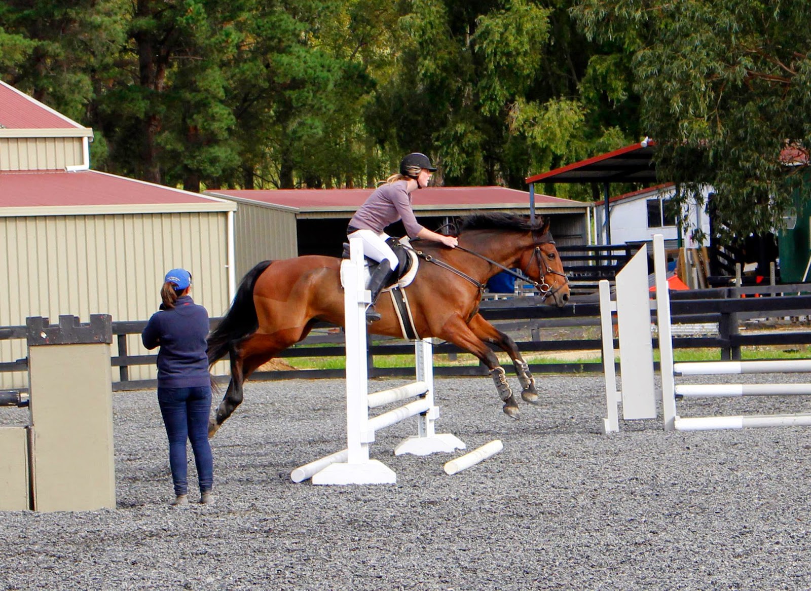 TWO BAY HORSES Show Jumping Clinic at Tielcey Park Stables