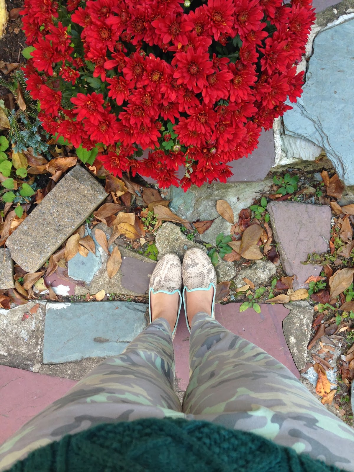 behind the leopard glasses: camo from weekend to workweek