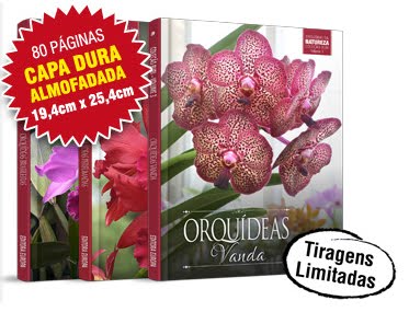 Orquídeas da Natureza Coleção Rubi