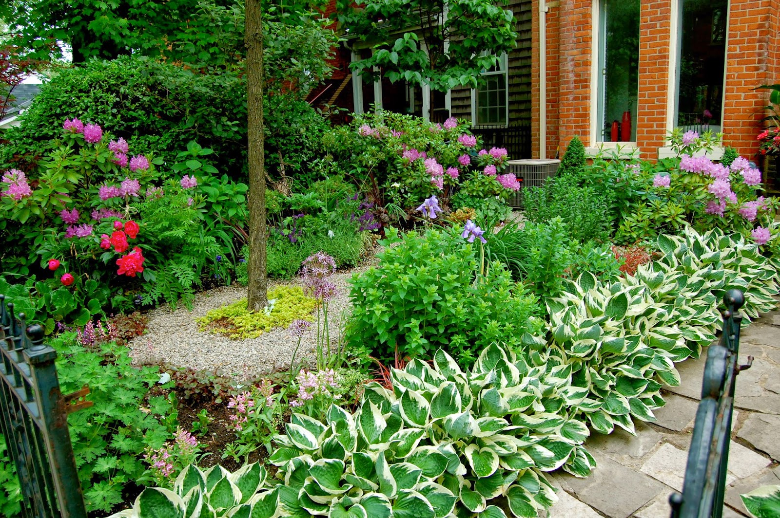 Astrid's Garden Design: Problems affecting Impatiens