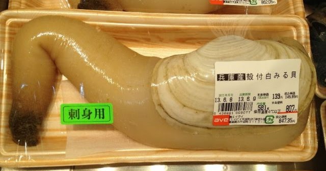 ilmu perikanan: jenis kerang