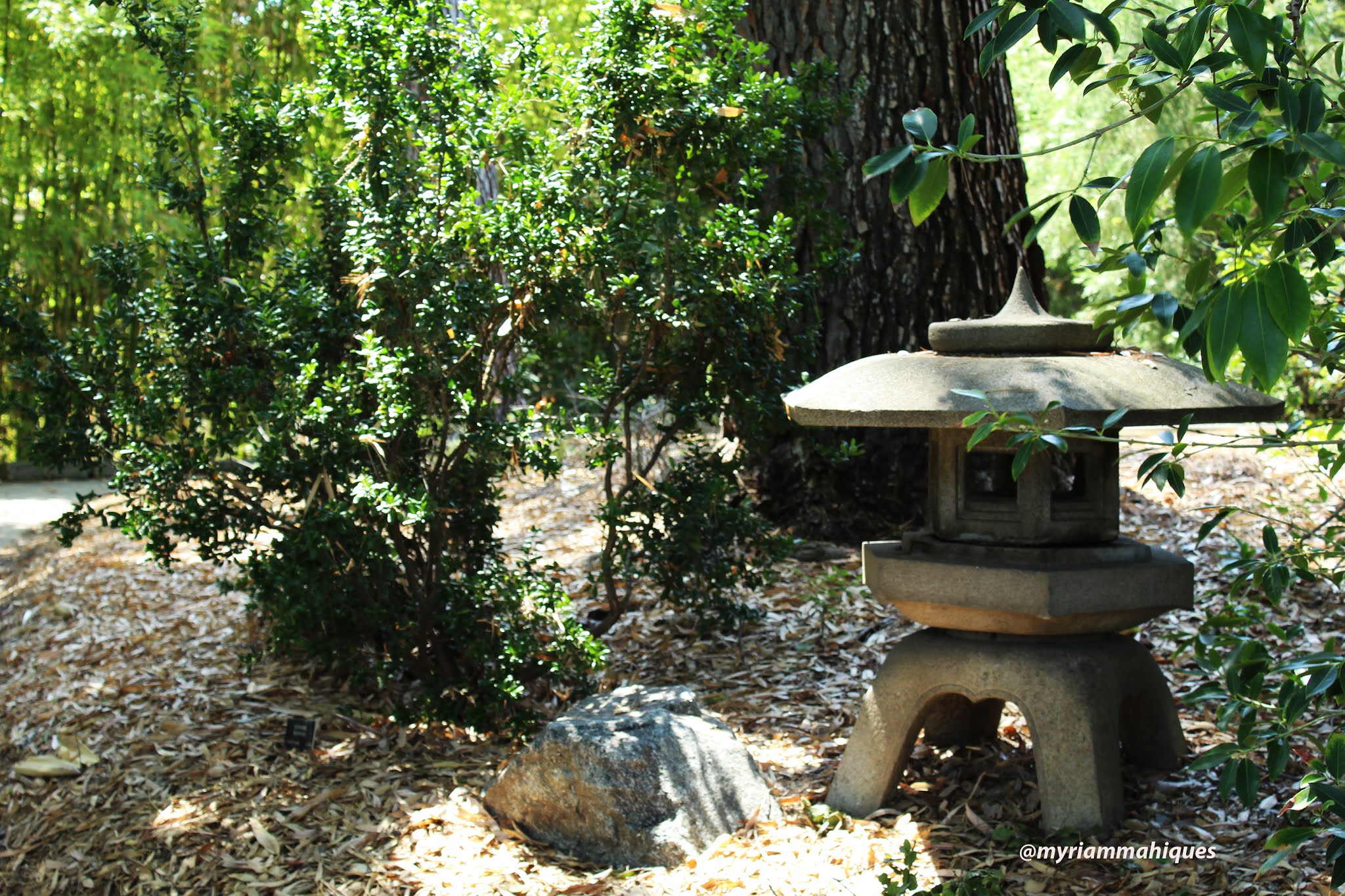 INBUILT LANDSCAPE Garden ornaments