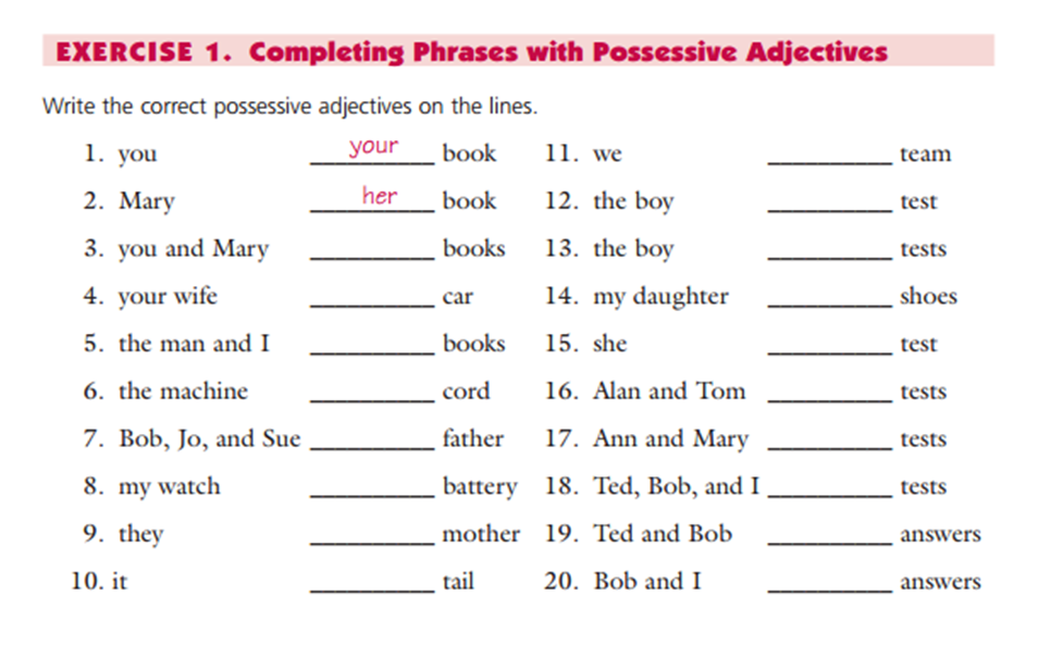 Английский абсолютные местоимения упражнения. Задания на possessive. Possessive adjectives в английском языке. Possessive adjectives для детей. Possessive упражнения.