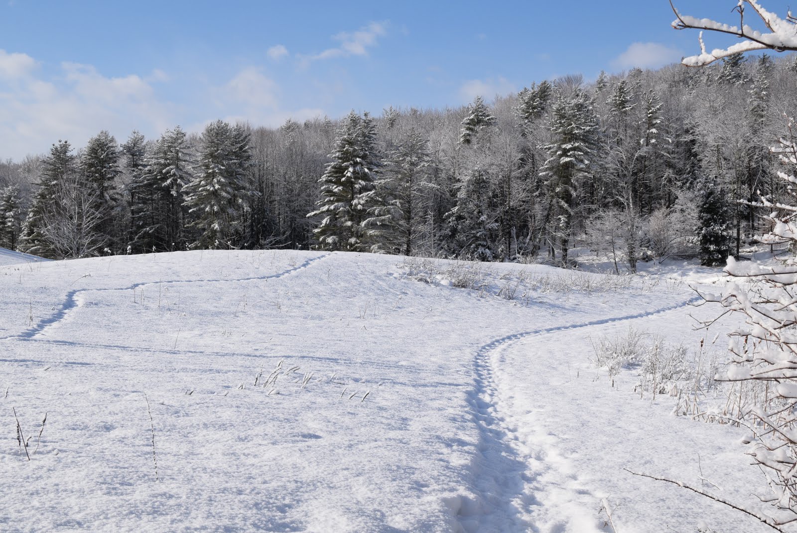Jericho, Vermont Photos beaver pond Jericho Vt. Snowshoeing