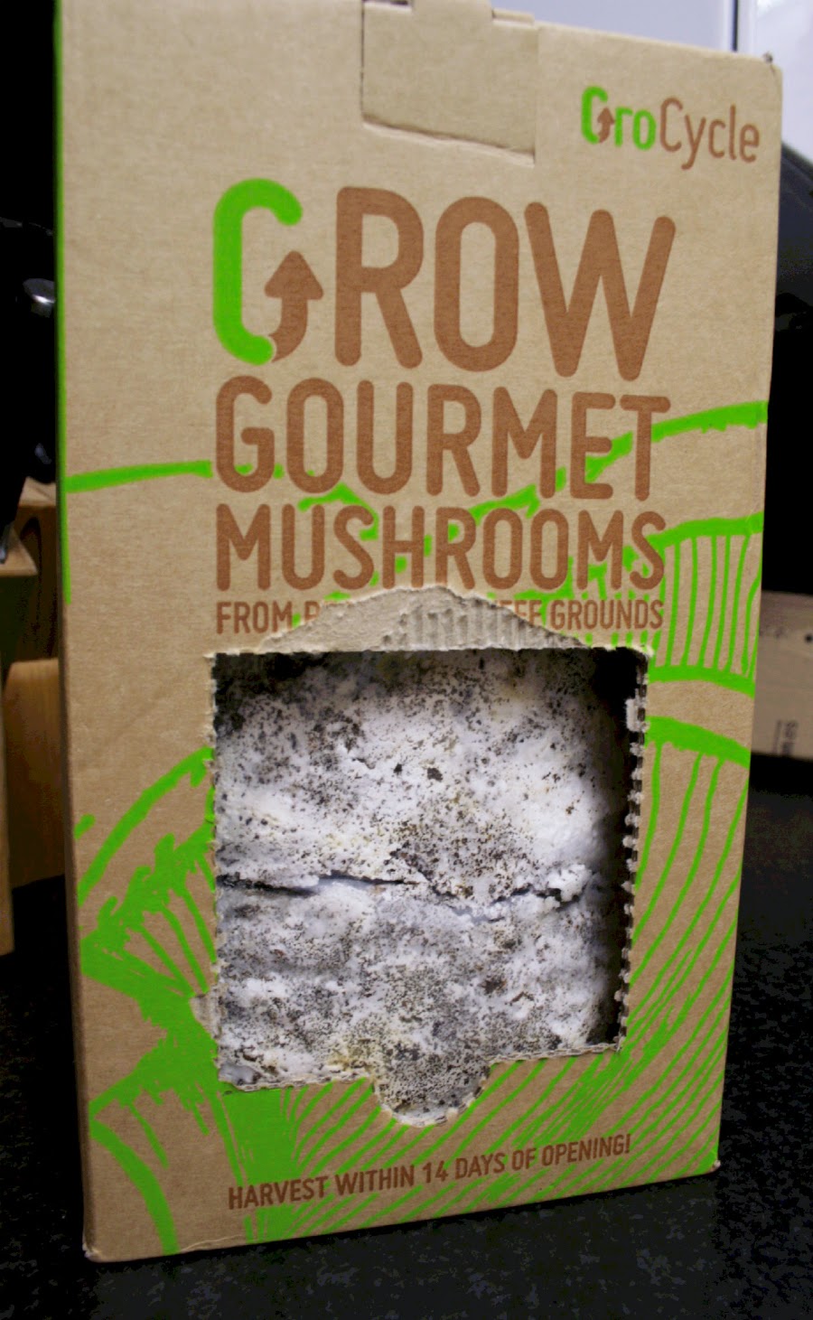 GroCycle use waste coffee grounds to grow delicious gourmet oyster mushrooms and now with one of their kits you can enjoy fresh mushrooms in your own kitchen