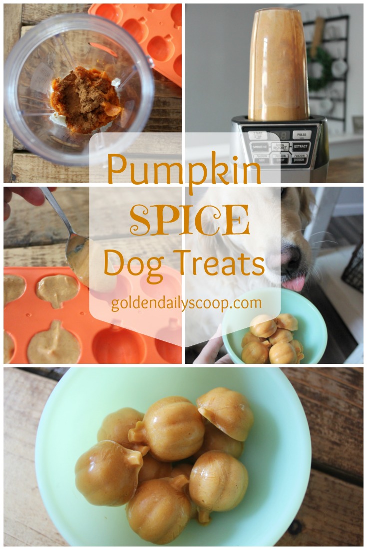 Pumpkin Spice Dog Treats, a healthy frozen treat for Fall and Halloween