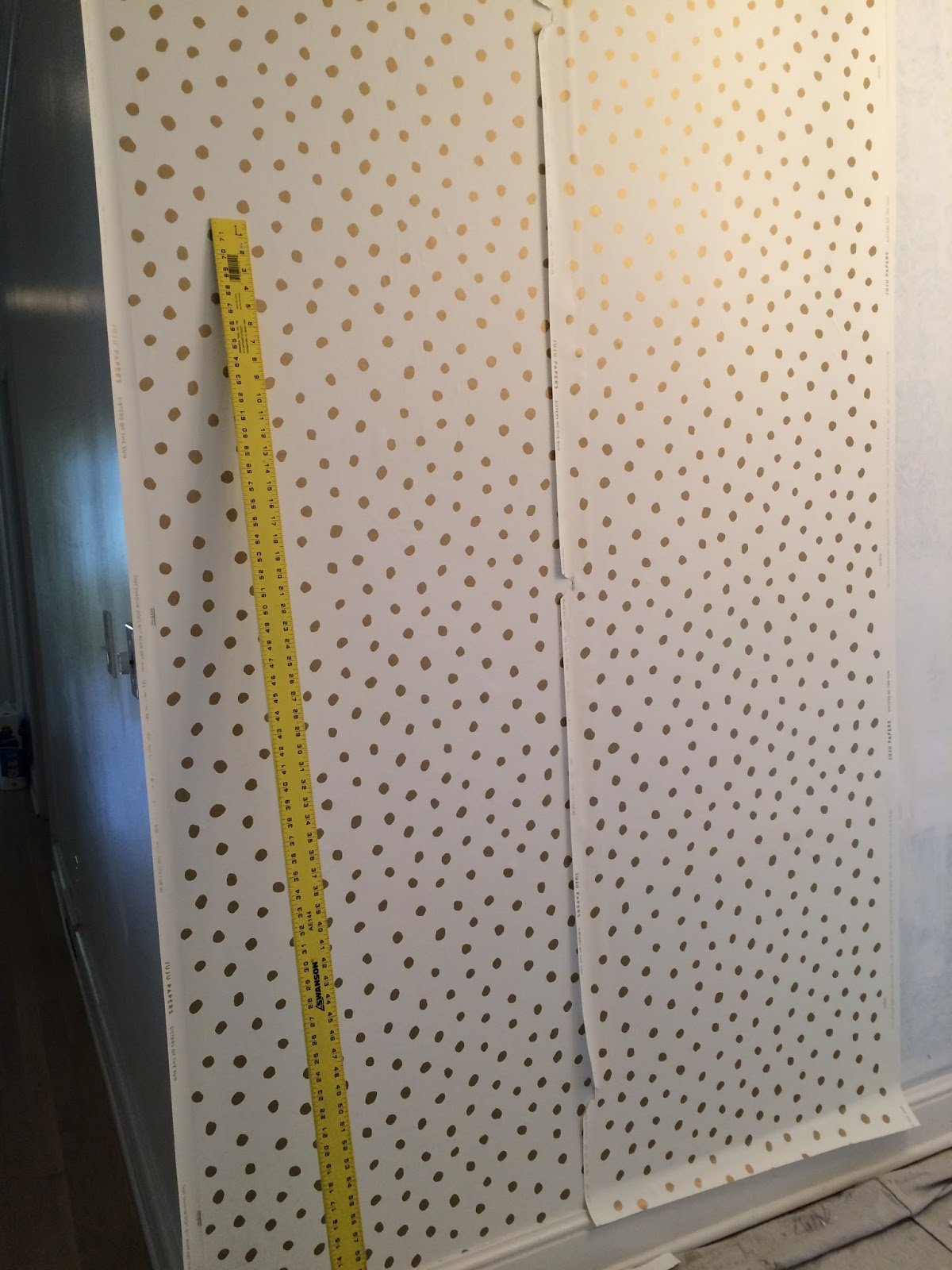 TnWallpaperHanger Wallpaper Installation Entryway / Foyer / Hall in