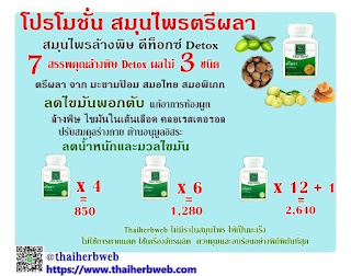สมุนไพร รักษาโรค ตรีผลา ทองคำ Thai Herb ล้างพิษชั้นสูง ดีท็อกซ์ Detox ล้างสารพิษ ไขมันพอกตับ ราคาส่ง ราคาถูก