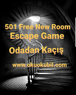 501 Free New Room Escape Game v17.6 Kapı Kilidini Aç Ve Kaç Mod Apk İndir