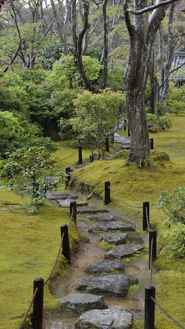 Beautiful green garden wallpaper