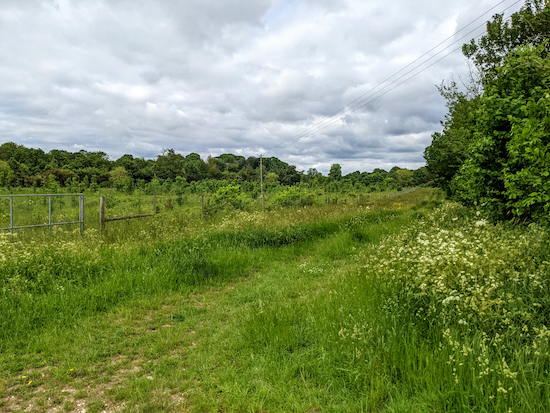 Anstey footpath 7 heading W Anstey footpath 7 heading W