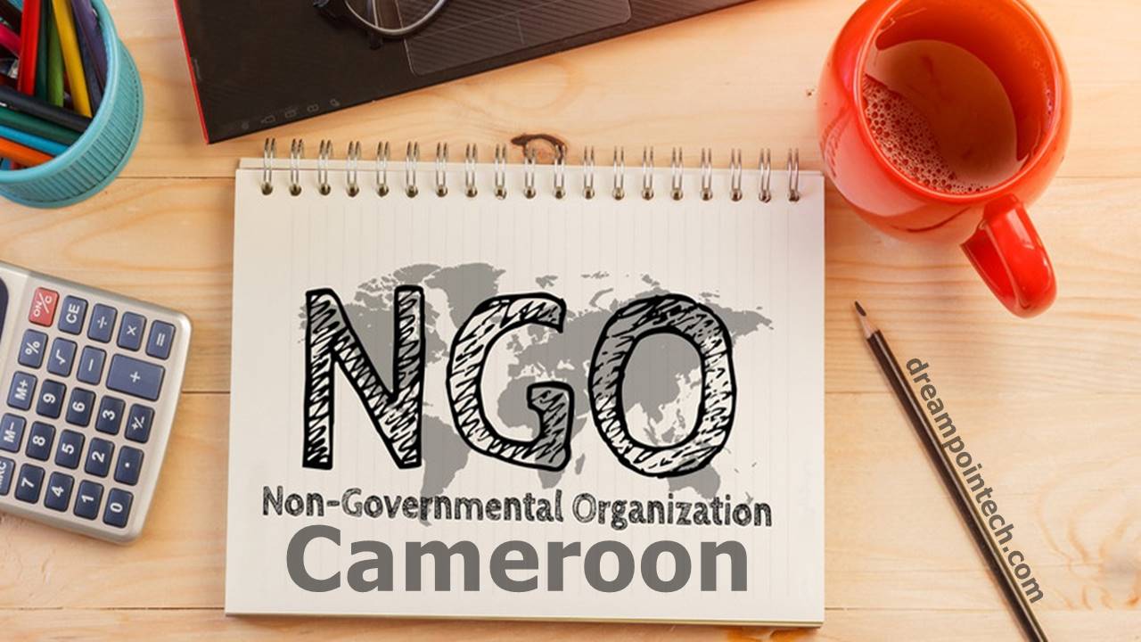 How to Start an NGO in Cameroon Legally (Foundation)