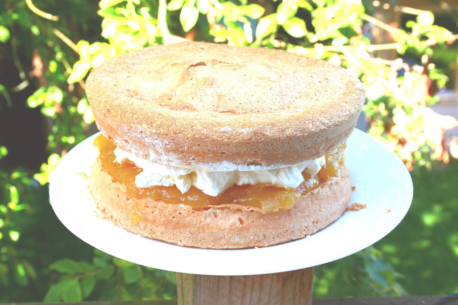 Kenwood Mixer Feather Cake