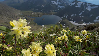 Заповедник для чего нужен. Смотреть фото Заповедник для чего нужен. Смотреть картинку Заповедник для чего нужен. Картинка про Заповедник для чего нужен. Фото Заповедник для чего нужен Заповедник для чего нужен. Смотреть фото Заповедник для чего нужен. Смотреть картинку Заповедник для чего нужен. Картинка про Заповедник для чего нужен. Фото Заповедник для чего нужен