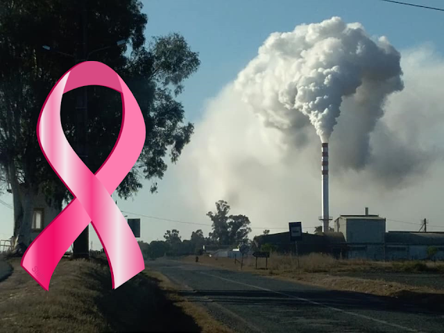 Cancro - Navegantes de Ideias