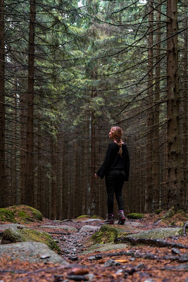 Herbstwanderung im Harz | Torfhaus – Eckerstausee – Bad Harzburg 08