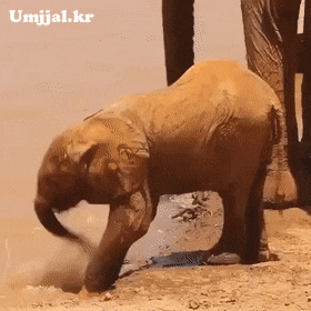 umjjal_kr_108.gif