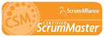 Certified SCRUM Master CSM 2010 (mastery level)
