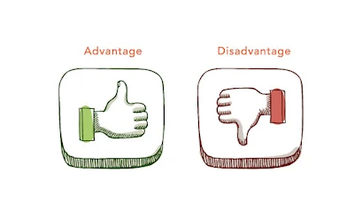 advantages and disadvantages