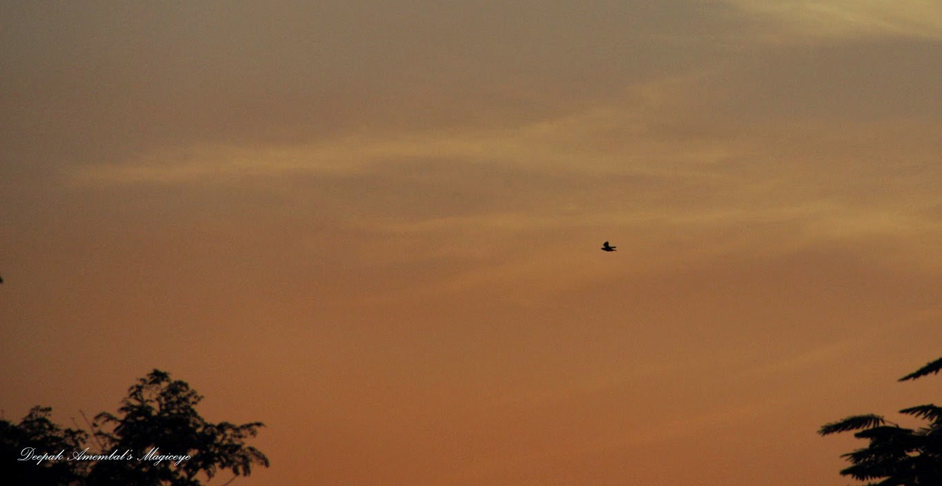 Mumbai Daily Skywatch Friday mumbai-daily-skywatch-friday