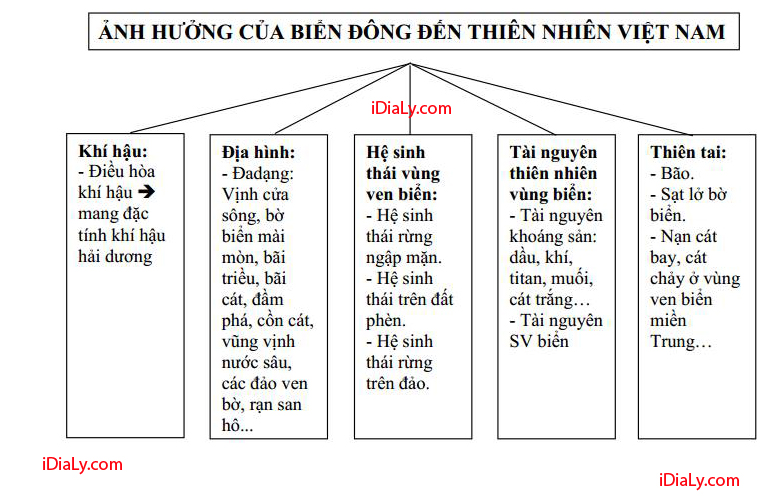 Sơ đồ tư duy - Ảnh hưởng của biển Đông đến thiên nhiên Việt Nam