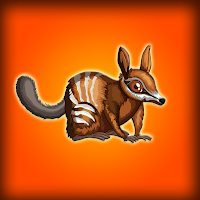 Play Games2Jolly Numbat Rescue From Cage