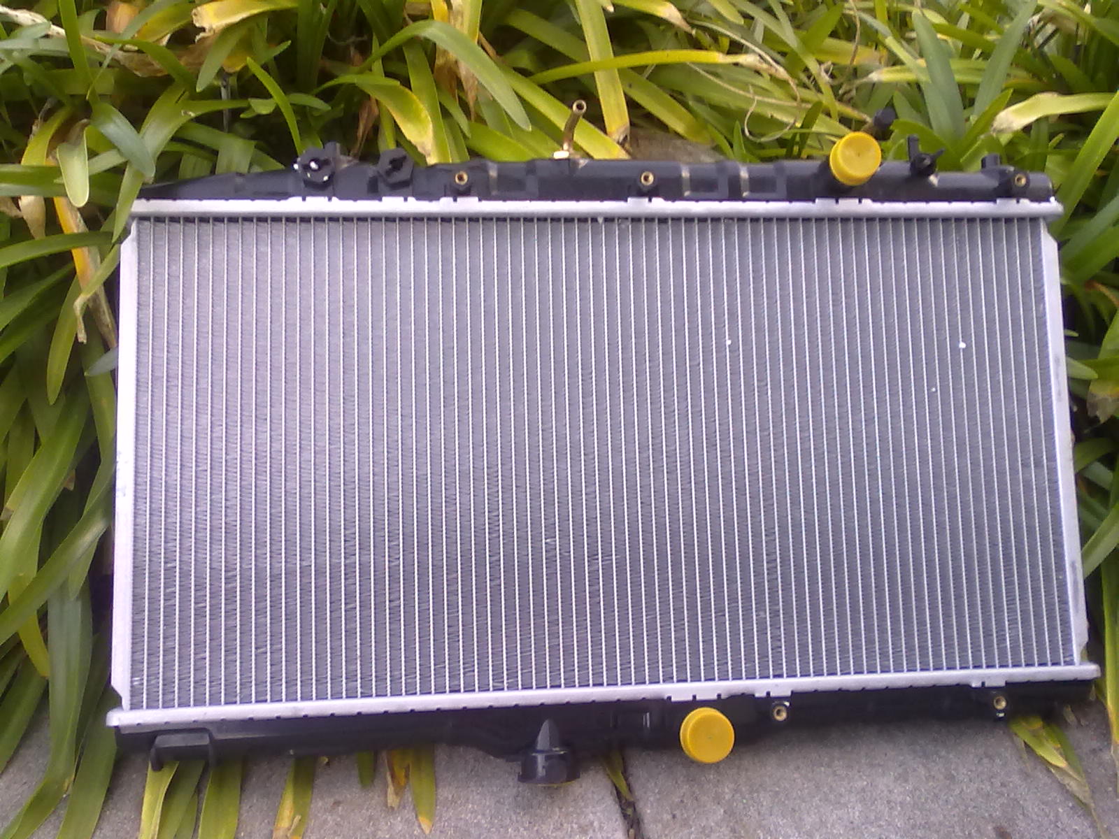 Cat Lover Leaky radiator Corolla