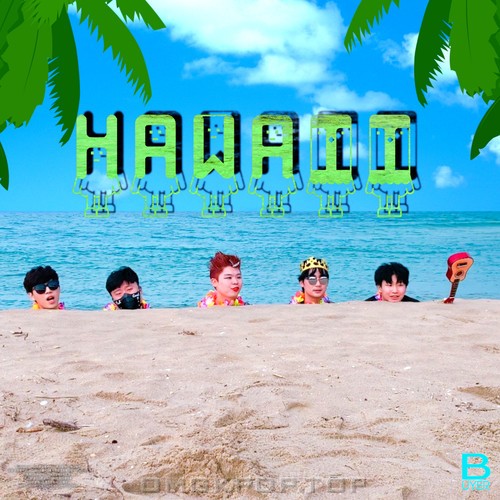 BUYER – HAWAII – Single