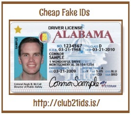 What Experts Think About Quality Fake IDs? 14