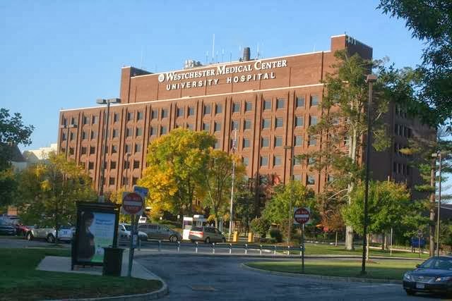 Insurance Westchester / Insurance Adjuster Westchester Insurance Westchester / Insurance Adjuster Westchester