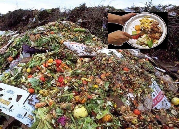 Desperdício alimentar qual o seu impacto ambiental? Desperdício alimentar qual o seu impacto ambiental?
