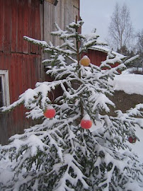 Tervetuloa kaikki siivekkäät...