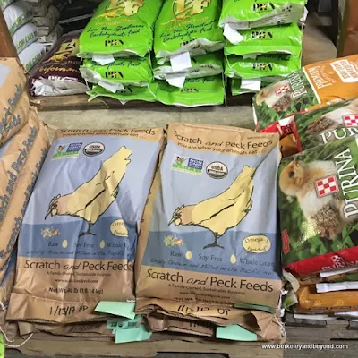 feed bags at Half Moon Bay Feed and Fuel In Half Moon Bay, California
