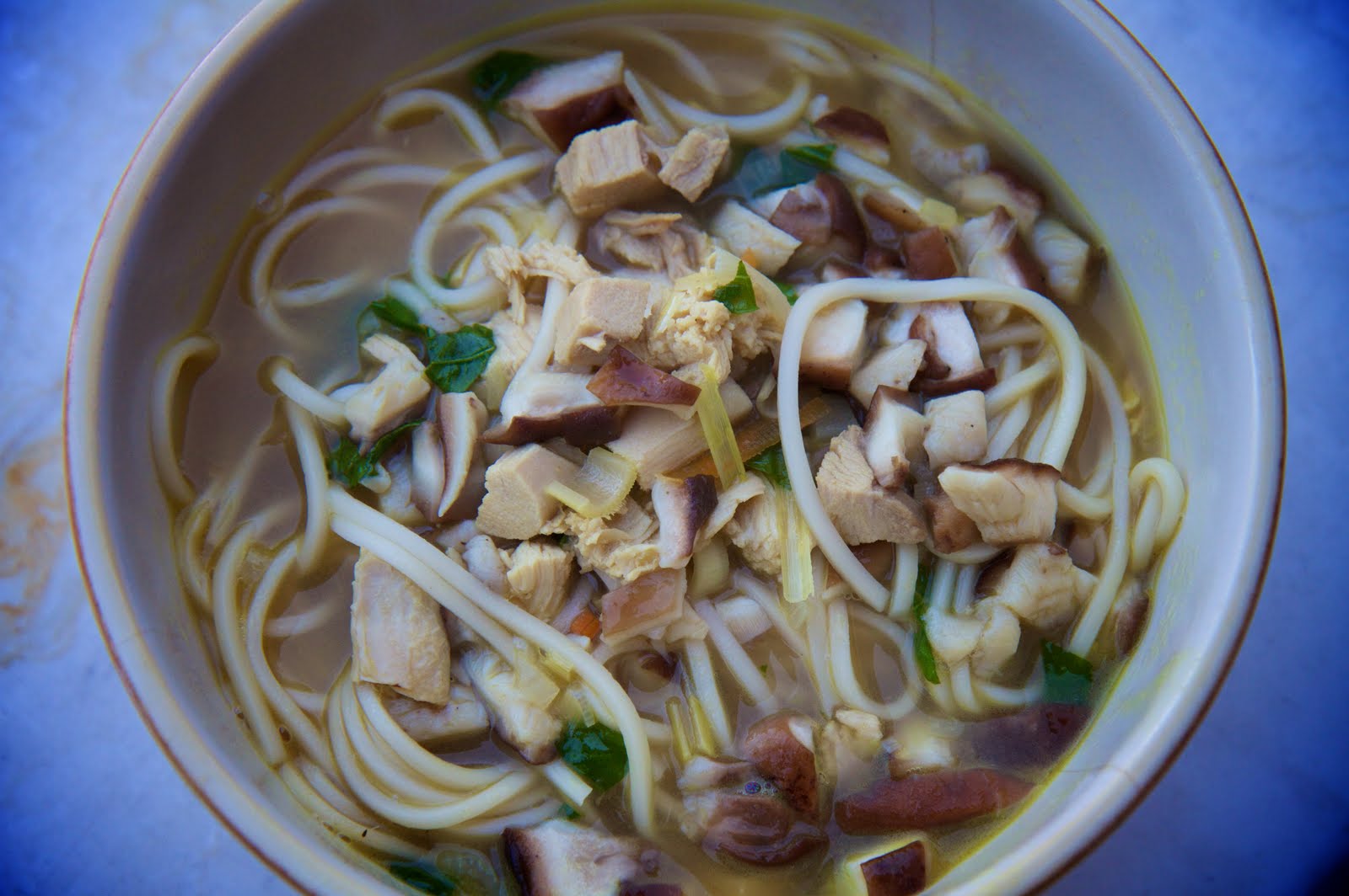 Food Love Chicken Noodle Soup with Lemongrass