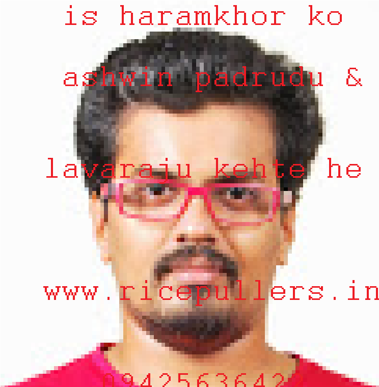 ricepuller rice puller ricepullers ricepuller rice puller ricepullers