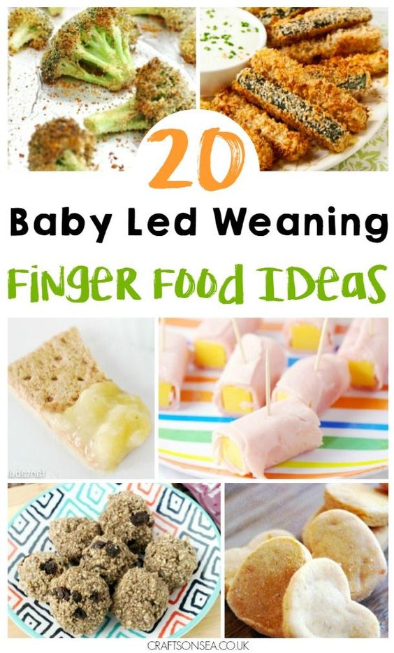FINGER FOOD IDEAS FOR BABY LED WEANING My Favorite Recipe