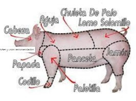 Carne porcina