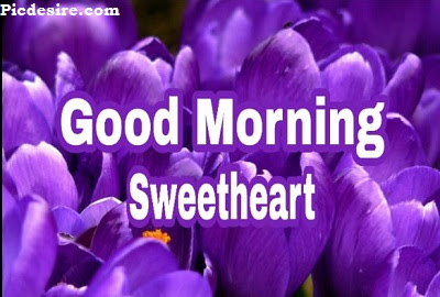 Good Morning Sweetheart, Best 20 Images of Good morning Sweetheart Good Morning Sweetheart, Best 20 Images of Good morning Sweetheart