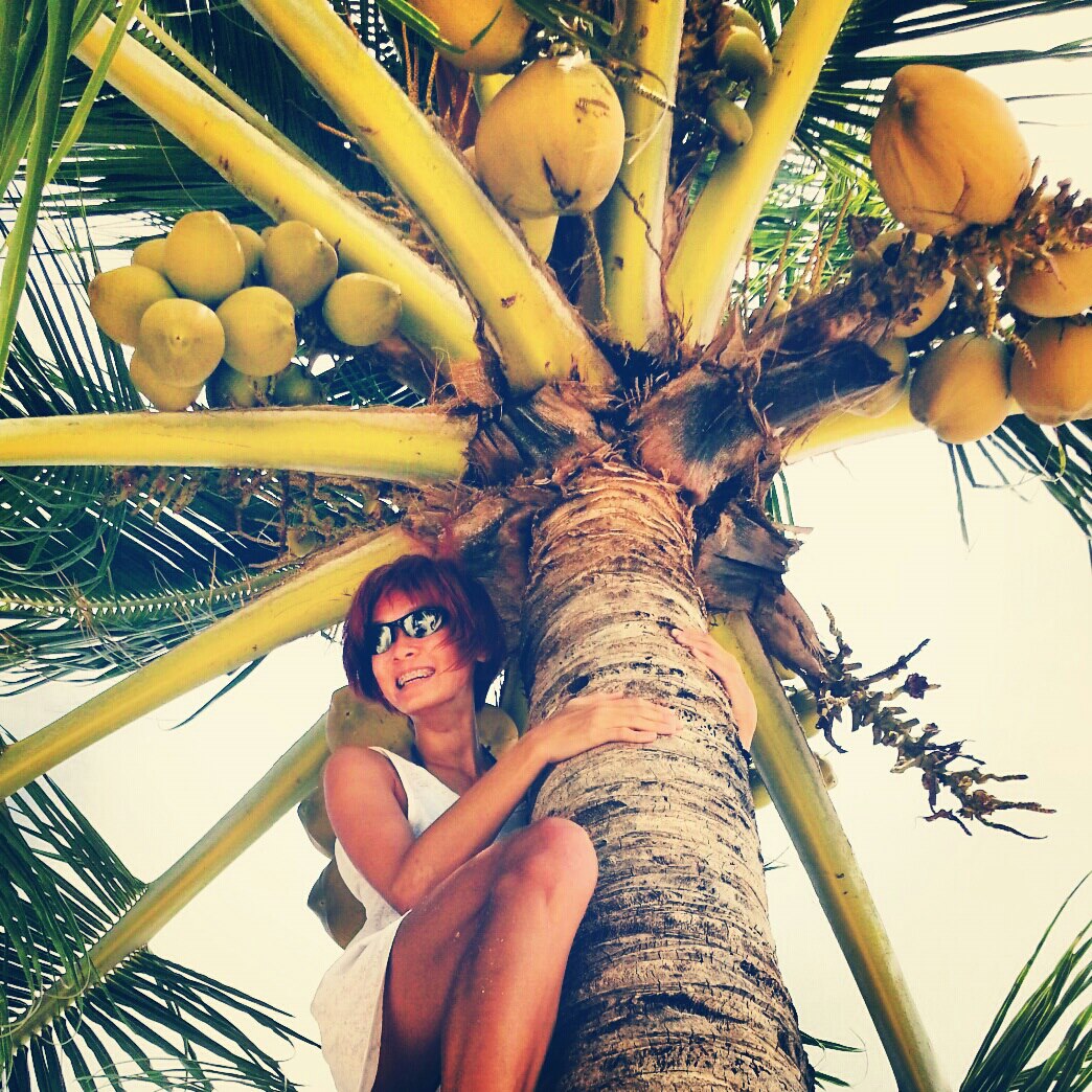 Climbing+coconut+tree.jpg