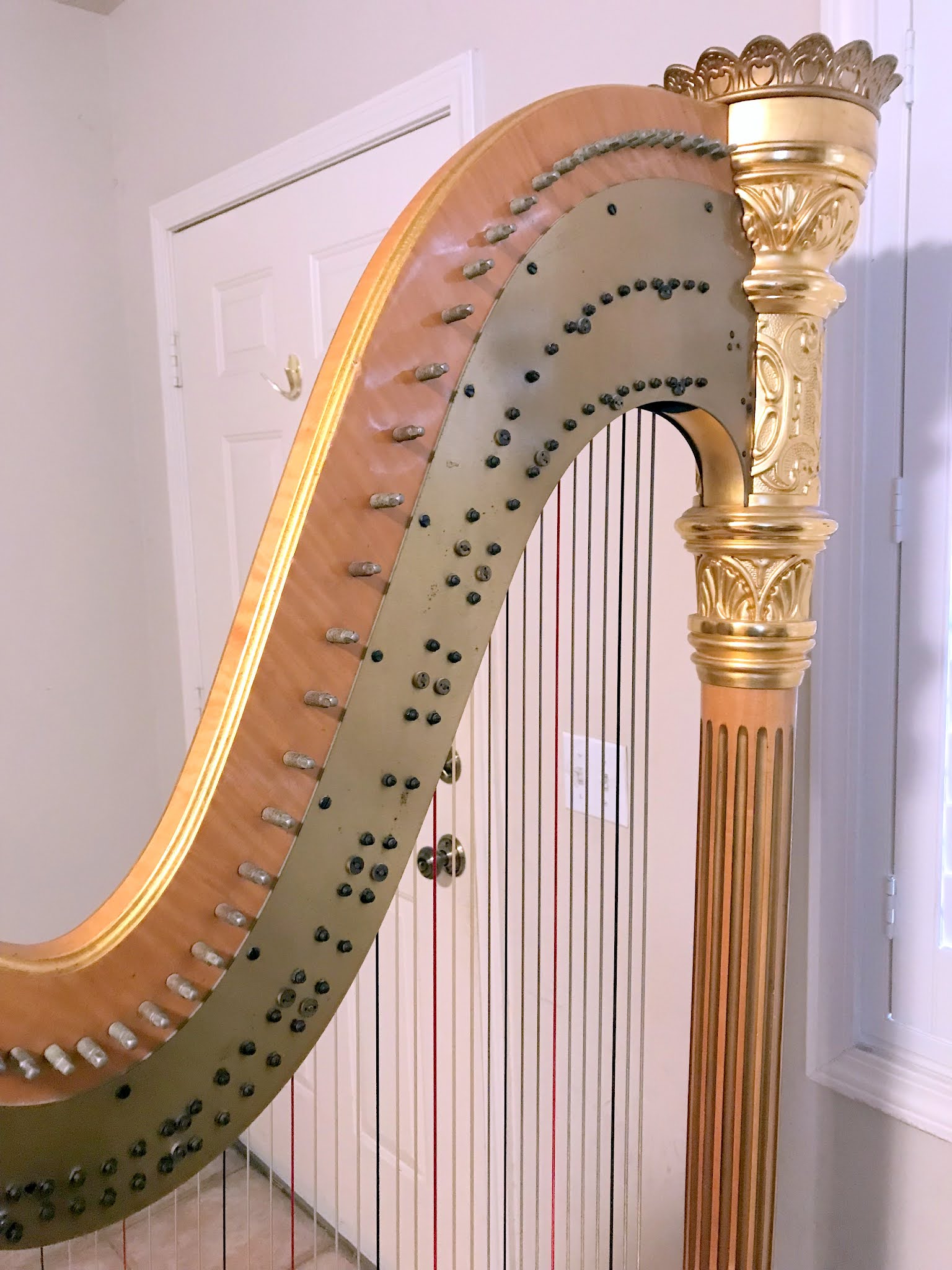 HARP IN LA HARP INFO 2 LYON & HEALY GOLD STYLE 17(46) 6294