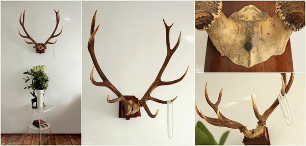 Do you dare to put the horns?