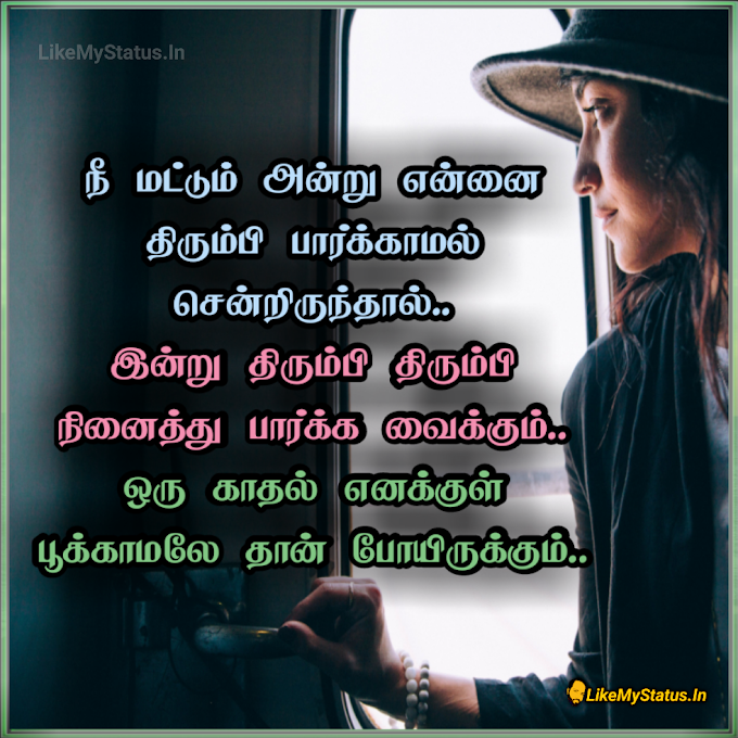 திரும்பி பார்க்காமல் சென்றிருந்தால்... Tamil Love Status Image...