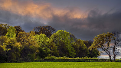 Twilight Wallpaper Clouds, Trees, Field, HD Landscape