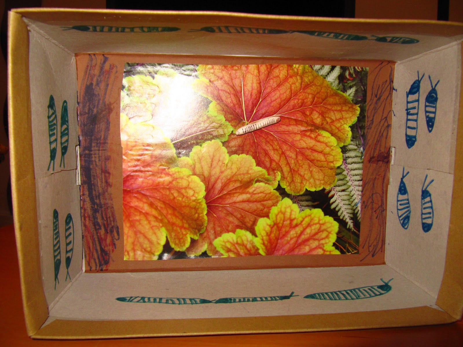 Alechka First Grade Science Project Success Academy Mealworm Dioramas