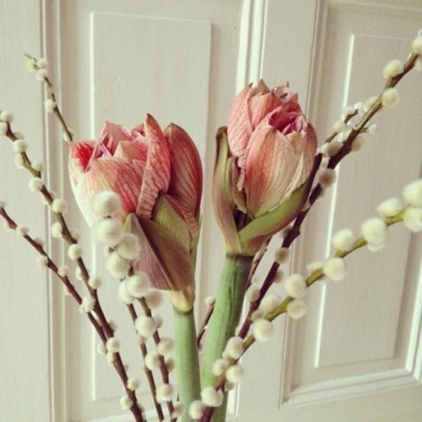 Cut flowers in enchanting decoration ideas